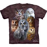 Owls