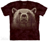 Bear Face Forest
