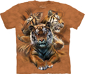 Resting Tiger Collage